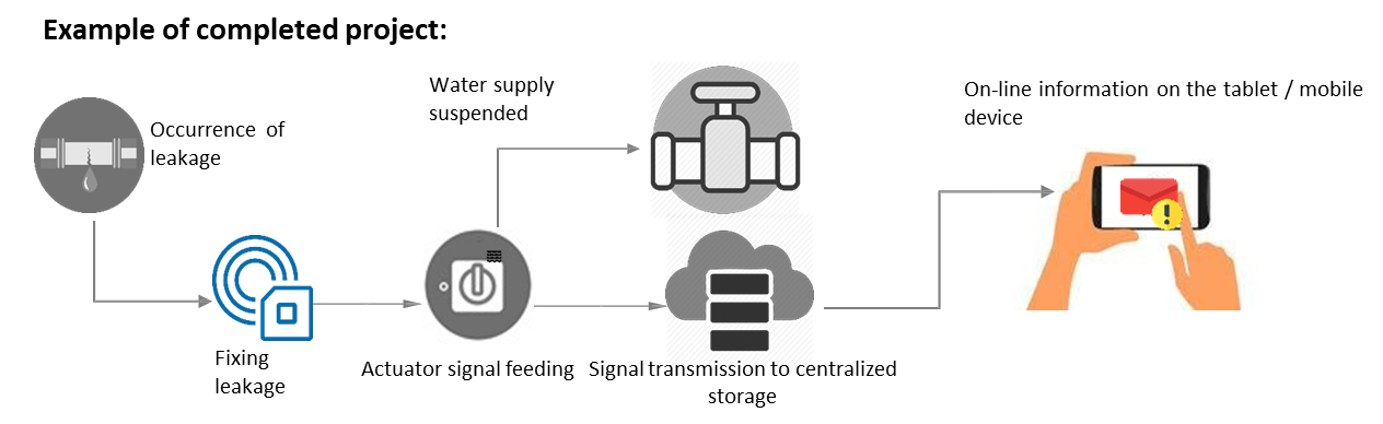 Project Example